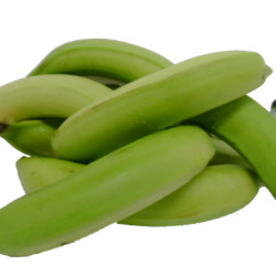 PLANTAIN