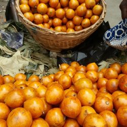UDARA